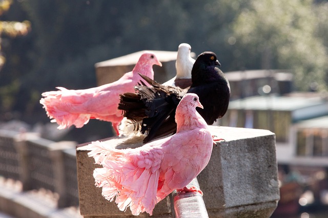 网友们进一 网友们进一