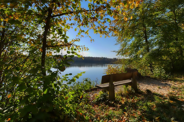 只有通过持 只有通过持