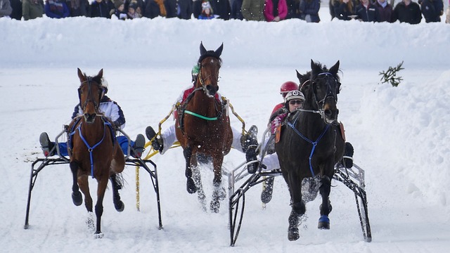 據的準備 據的準備