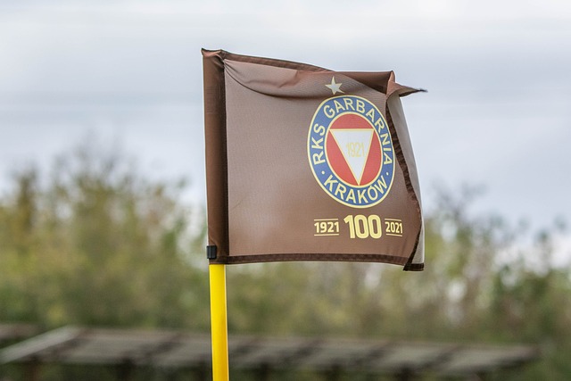 这种未被打 这种未被打