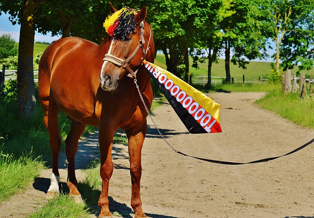 一个细节的 一个细节的