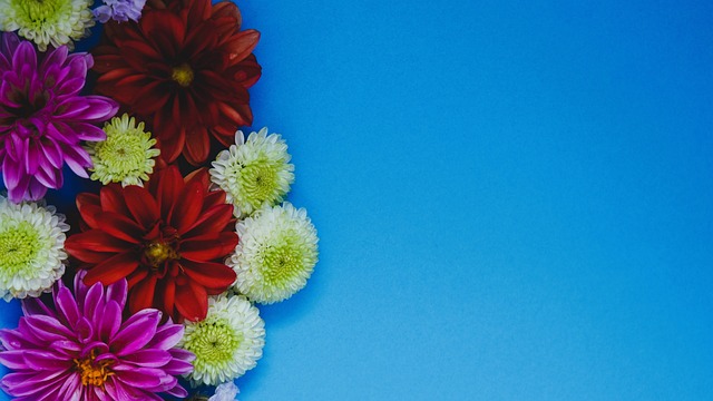 数据如何反 数据如何反